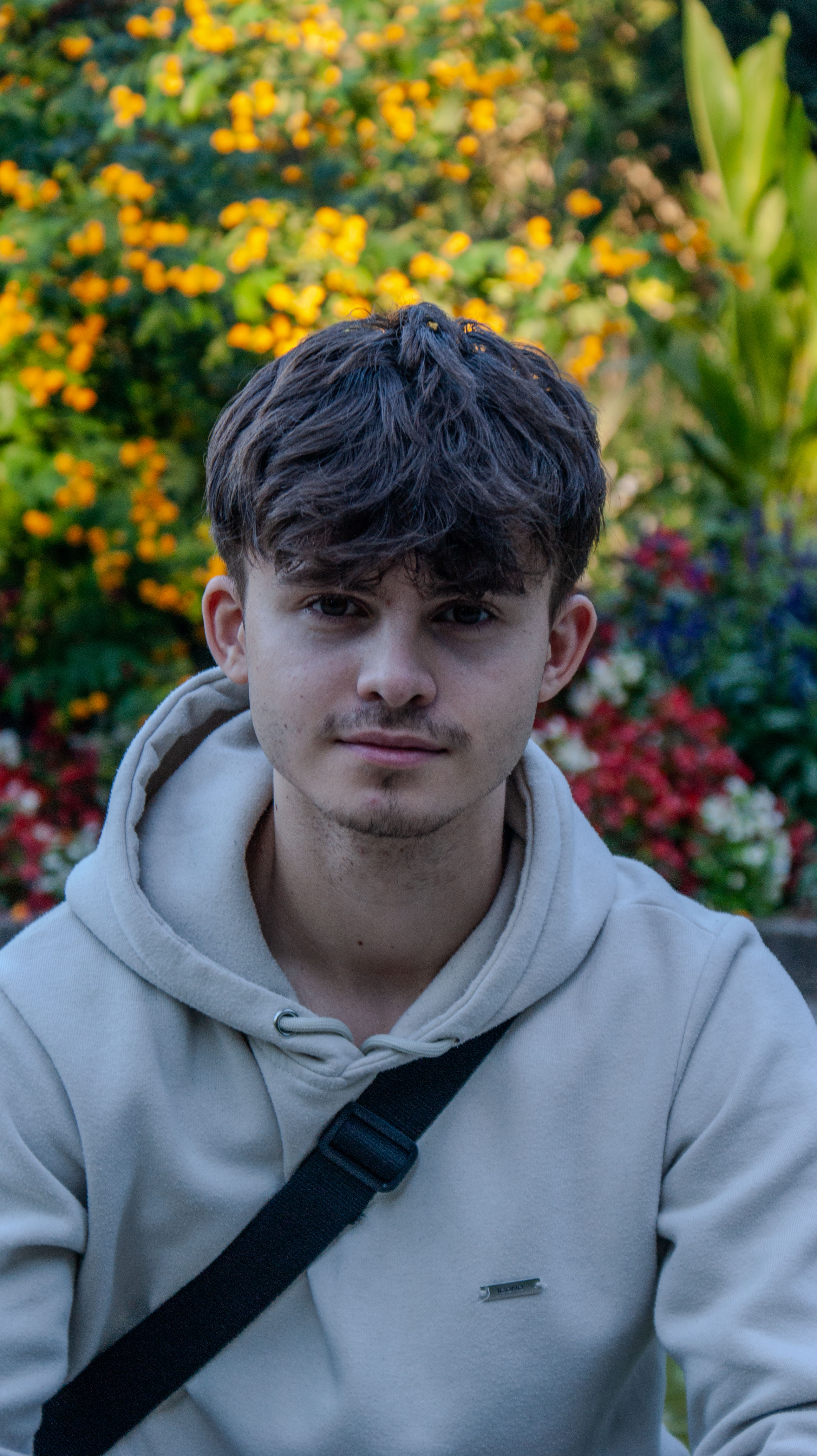 David Panaite - Founder & Lead Designer